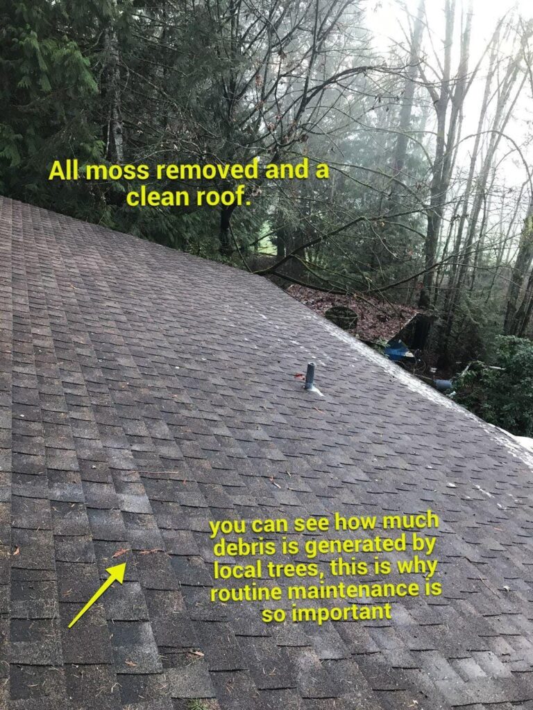 cleaned-roof | Guardian Roofing, Gutters & Insulation Moss removed from Roof