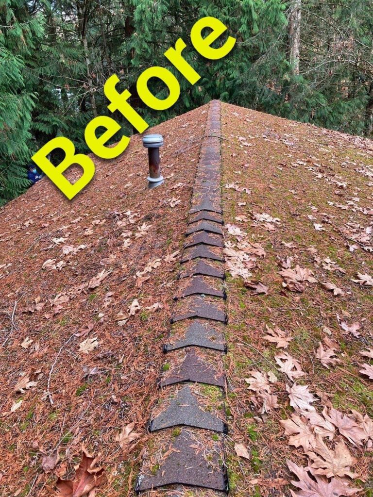 mossy-roof-before | Guardian Roofing, Gutters & Insulation Mossy Roof Before