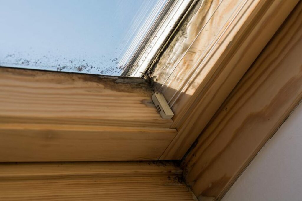 Leaking and moldy skylight