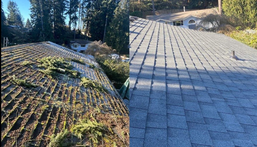 Side-by-side view of a roof before and after renovation: left side shows an old roof covered in moss and plants, right side shows a new, clean gray shingle roof in sunlight.